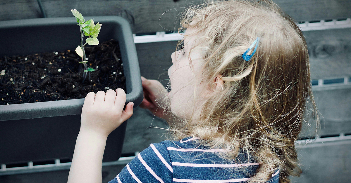 LET IT GROW...! Celebrating the world's rebirth The Incorporated